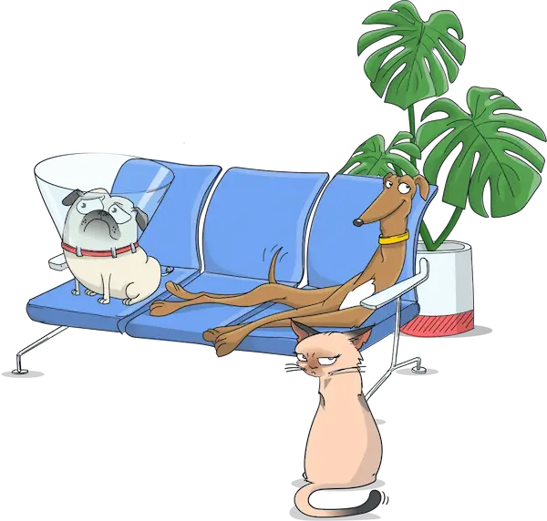 pets-group