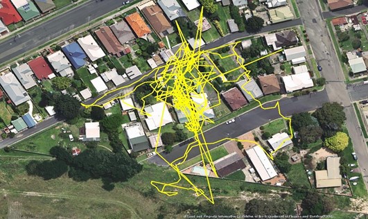 cat gps tracking route in Australian experiment
