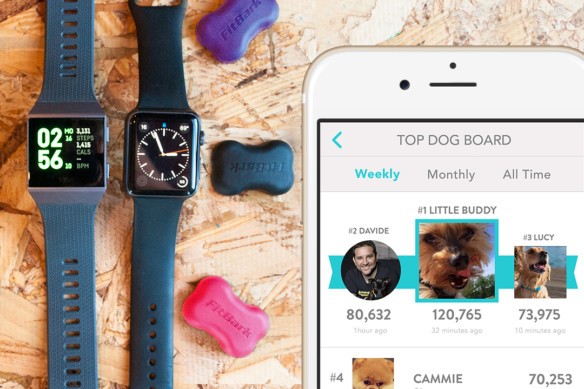 apps and devices for dog tracking