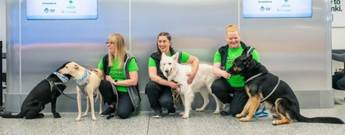 dogs and trainers in airport