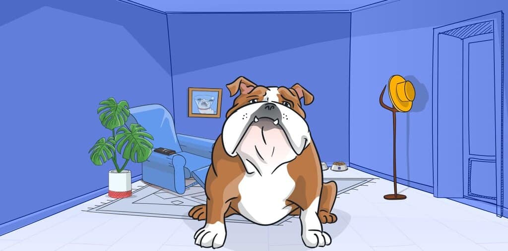 האם באמת צריך בית גדול כדי לגדל כלב גדול?