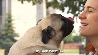 פאג 