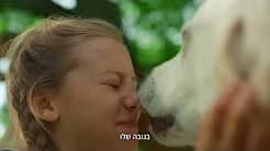 לברדור רטריבר