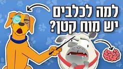 למה כלבים לא מדברים?