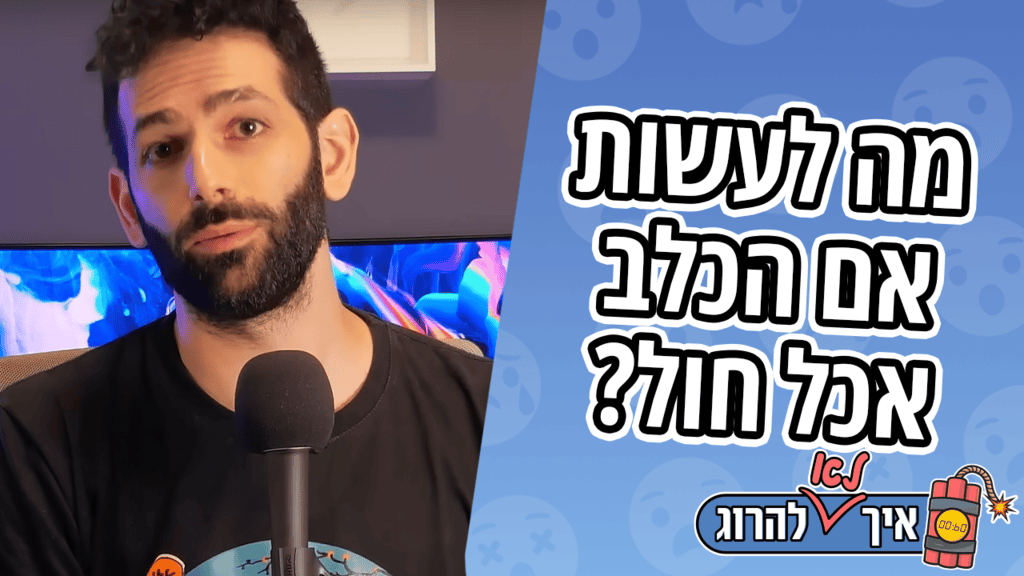 דברים מסוכנים לכלבים - חול | איך (לא) להרוג את הכלב שלך