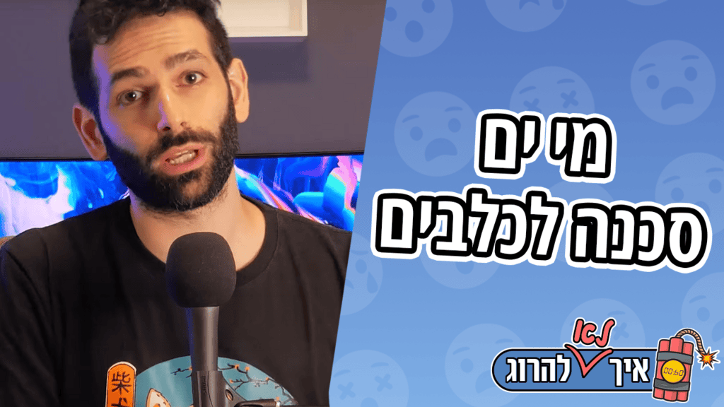דברים מסוכנים לכלבים - מי ים | איך (לא) להרוג את הכלב שלך