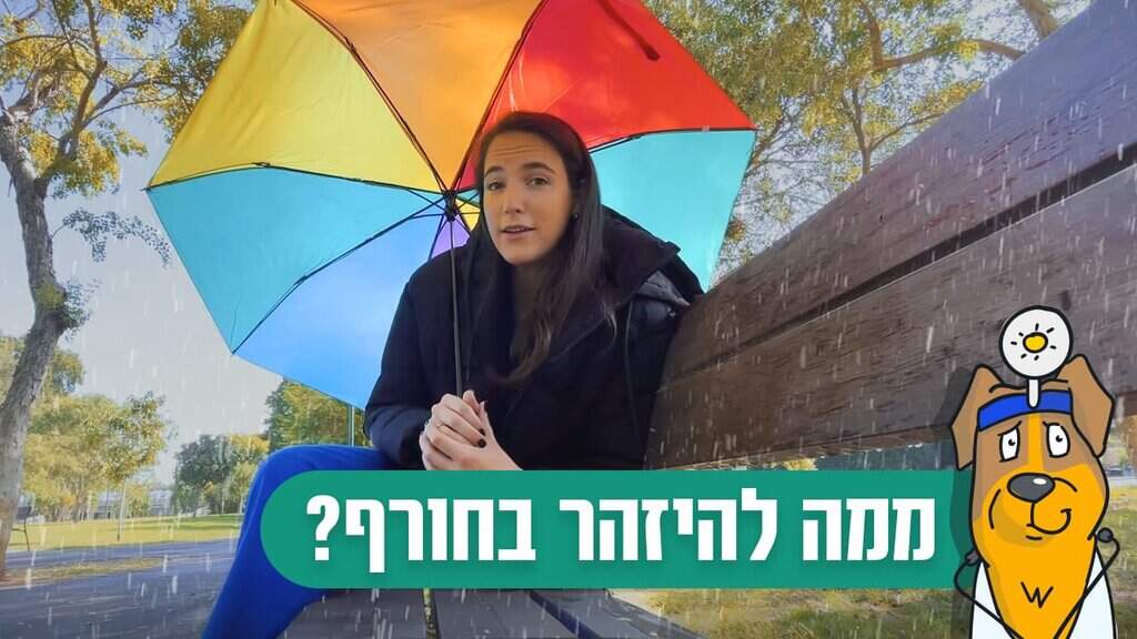 סכנות לכלבים ולחתולים בחורף