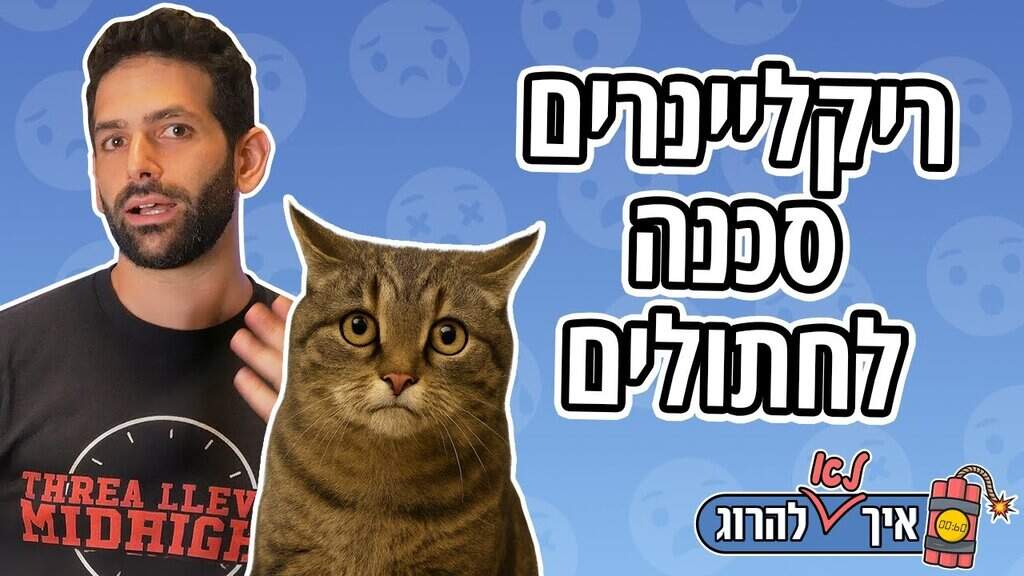 דברים מסוכנים לחתולים - כורסת טלוויזיה נפתחת 