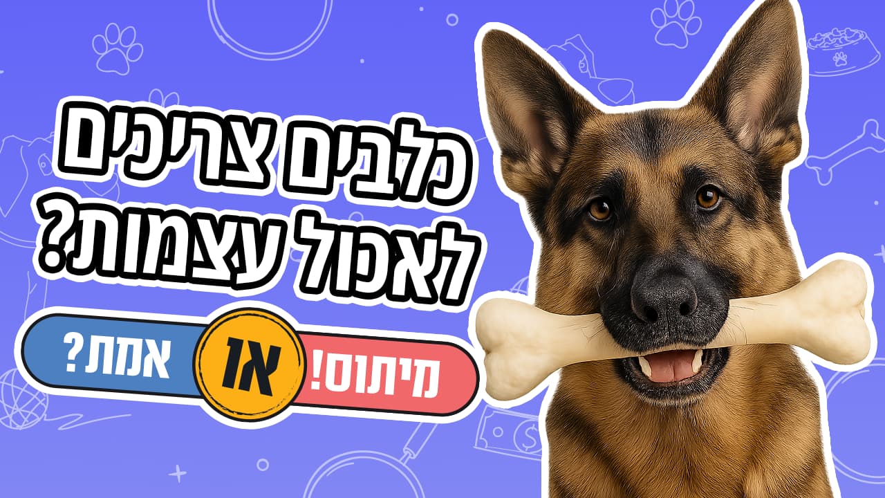 כדאי לתת לכלבים לאכול עצמות?