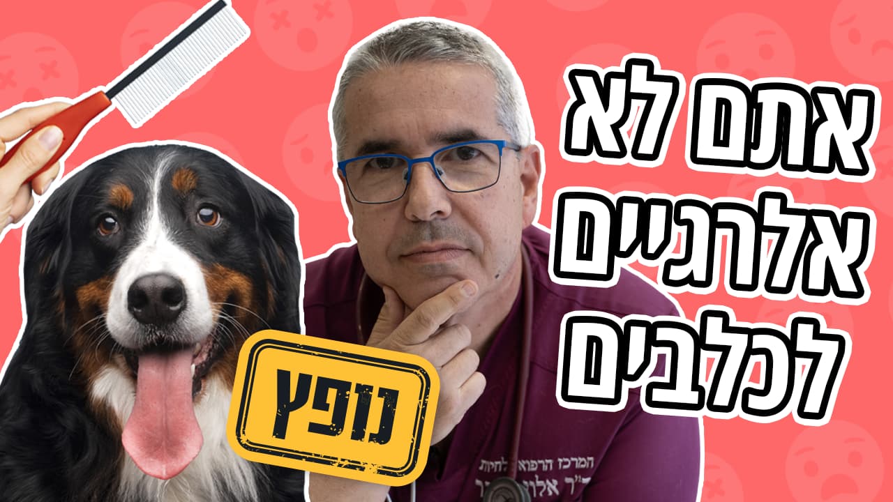 מה באמת גורם לאלרגיה לכלבים?