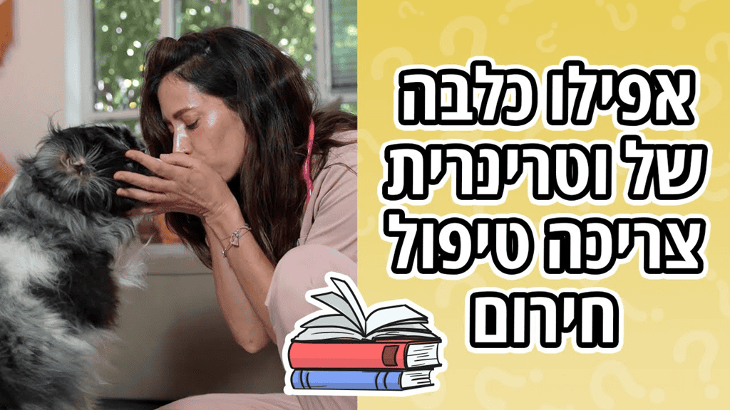למה נתנו לכלבה של וטרינרית רק 50% לשרוד?
