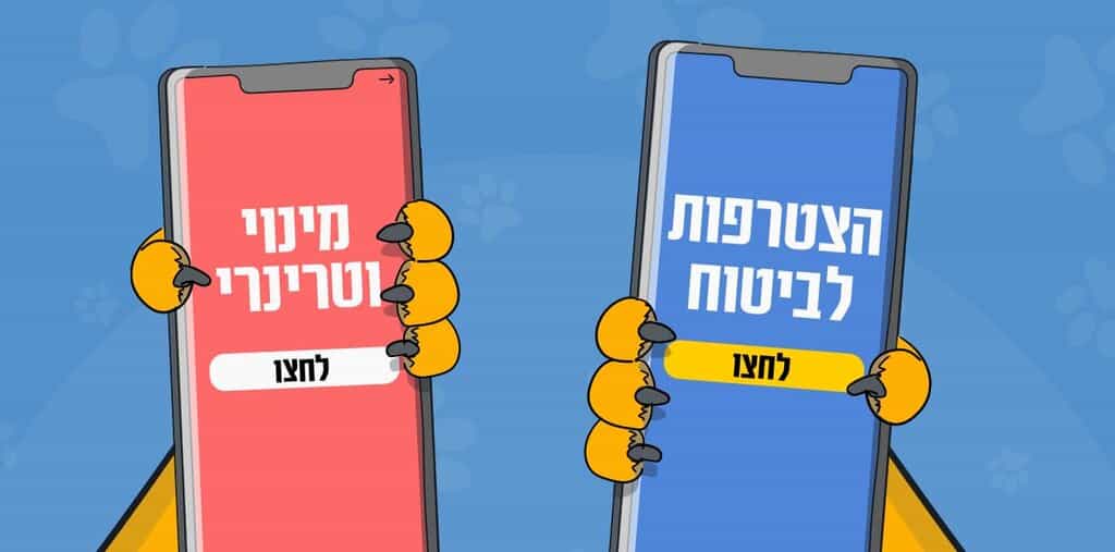מה משתלם יותר: השוואה בין מינוי וטרינרי לביטוח לחיות מחמד
