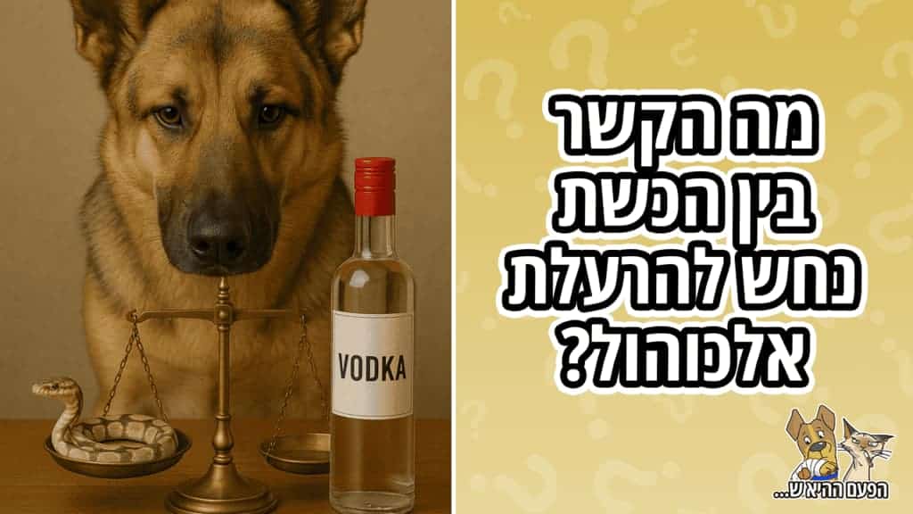 איך הכשת נחש גרמה להרעלת אלכוהול?