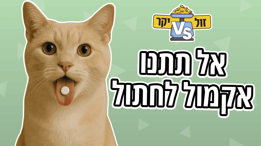 אקמול לחתולים - מותר או אסור?