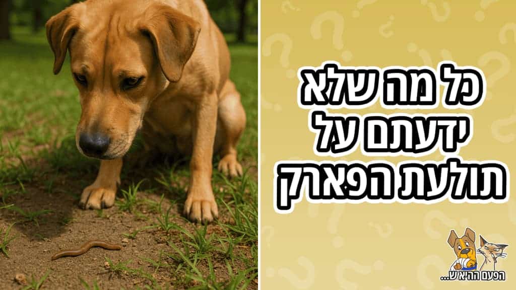 כל מה שלא ידעתם על תולעת הפארק