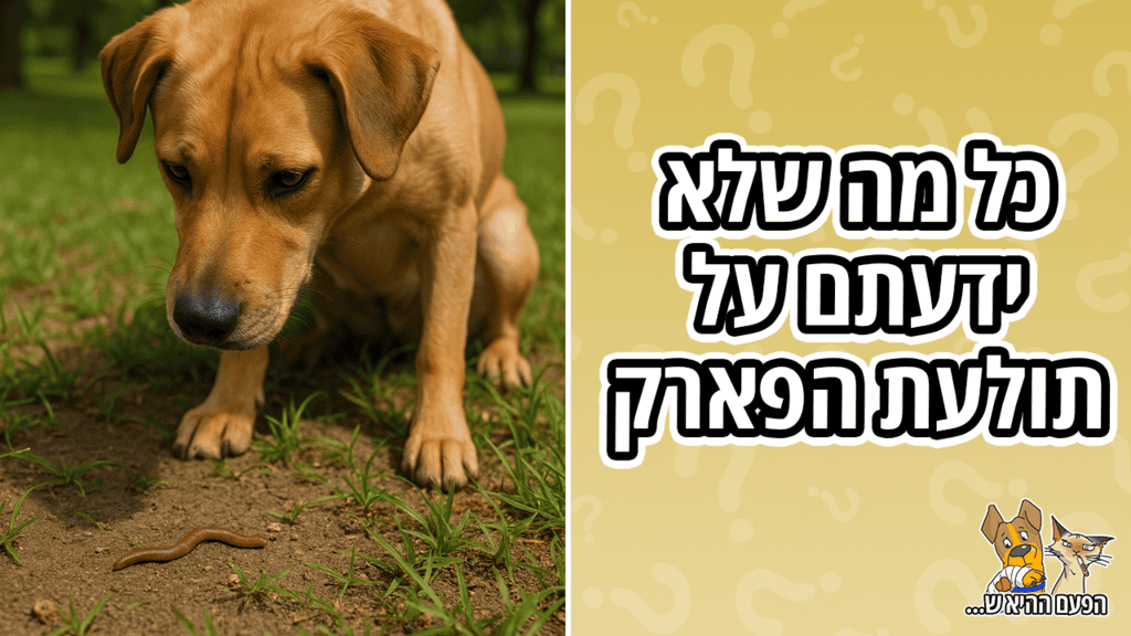 כל מה שלא ידעתם על תולעת הפארק