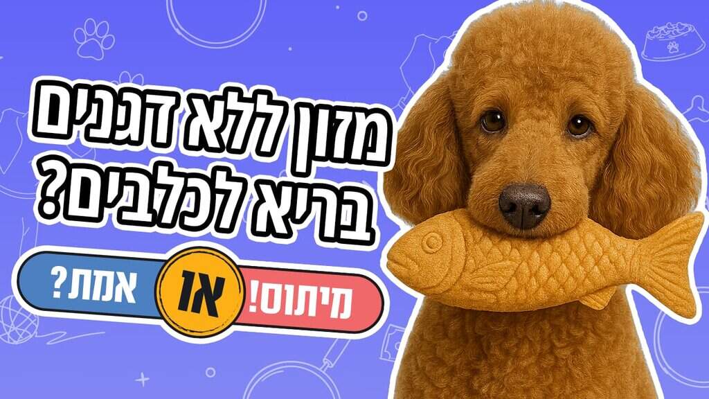 מזון ללא דגנים בריא לכלבים? 