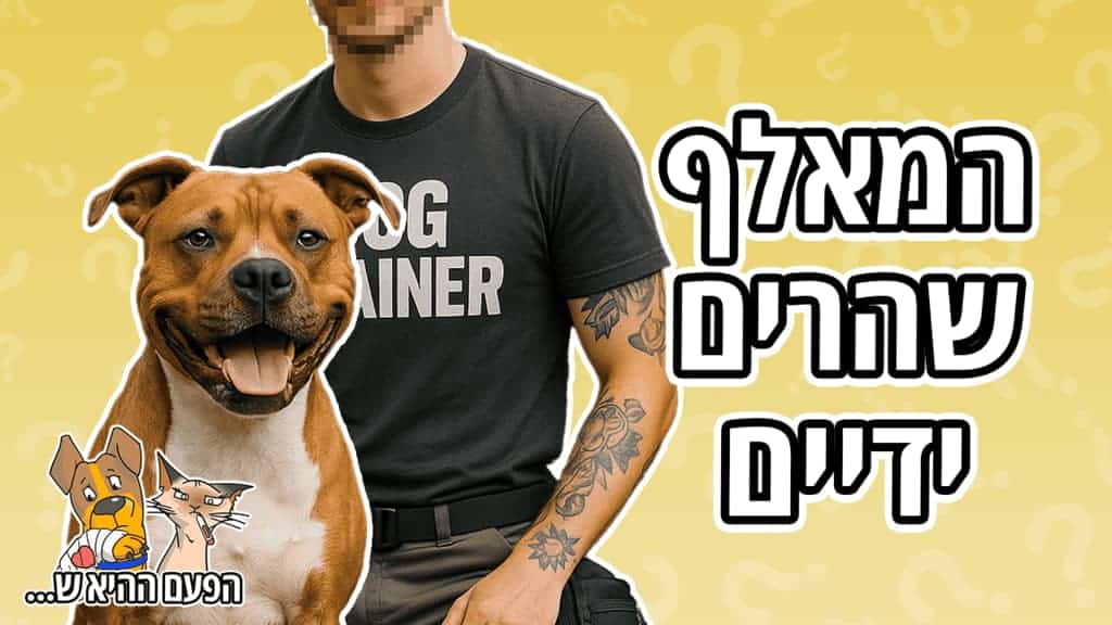 סיפור על המאלף שאיבד שליטה