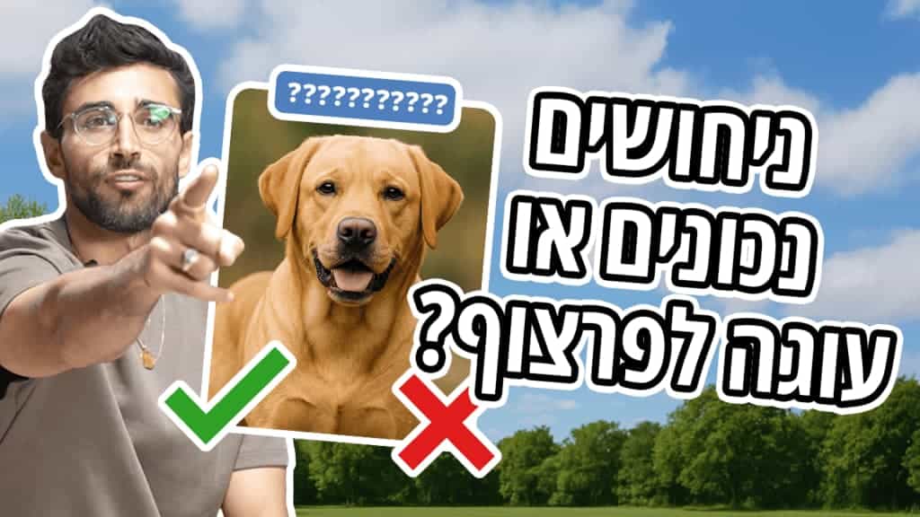 אתגר נחש את גזע הכלבים עם נועם פירוז