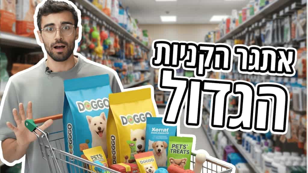 אתגר הקניות עם נועם פירוז