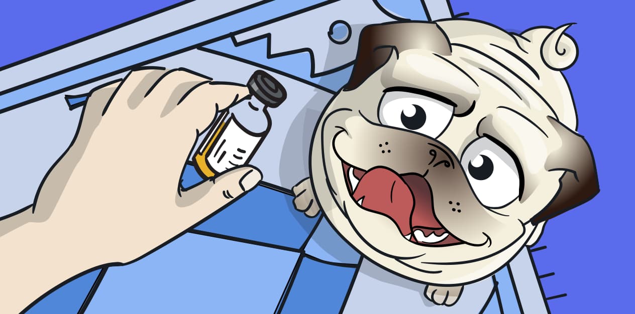 לא ממסטל, עוזר בטיפול בדלקות: הכל על שמן CBD לכלבים