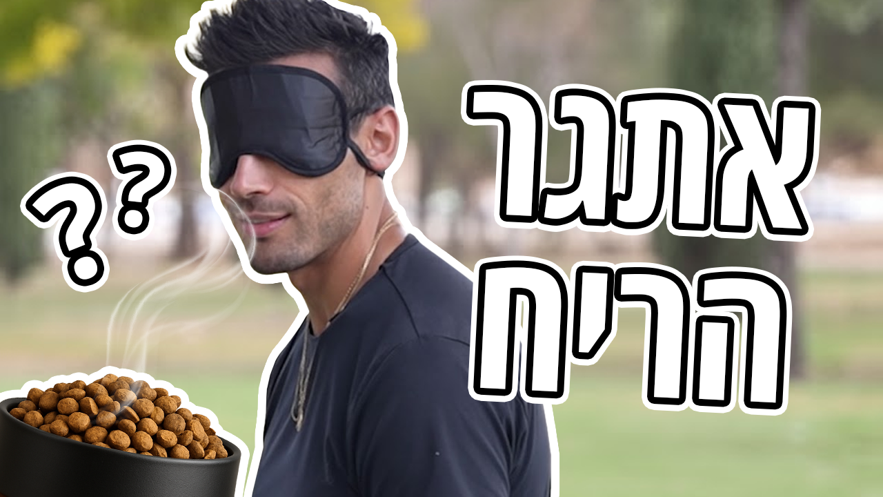 אתגר הריחות עם נועם פירוז