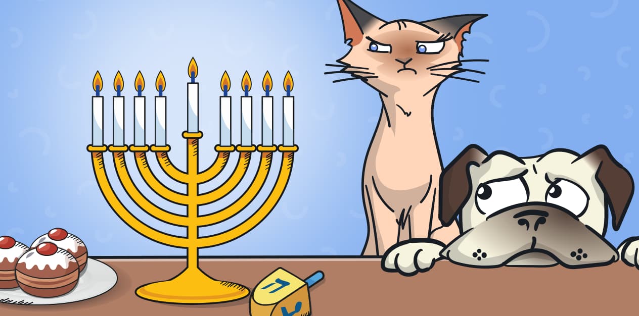 אלה לראותן בלבד: 3 הסכנות שמחכות לכלבים ולחתולים שלכם בחנוכה