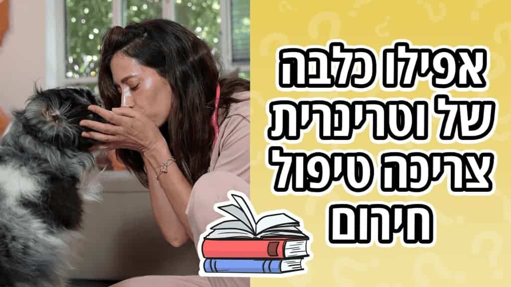 למה נתנו לכלבה של וטרינרית רק 50% לשרוד?