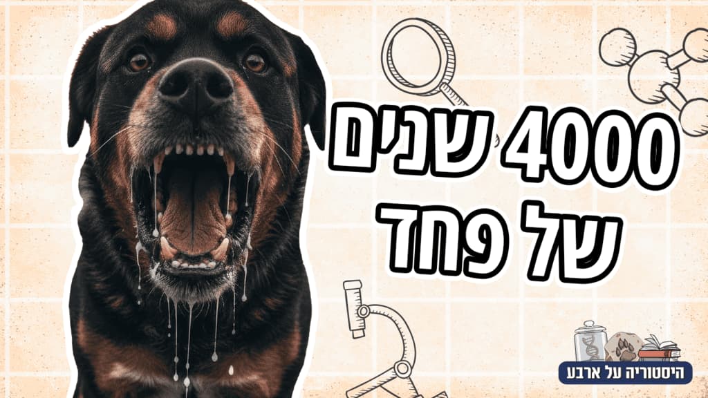 כלבת - דברים שלא ידעתם