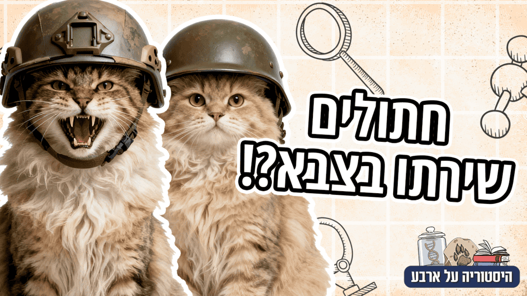 ההיסטוריה של חתולים ומלחמות | חיותא TV