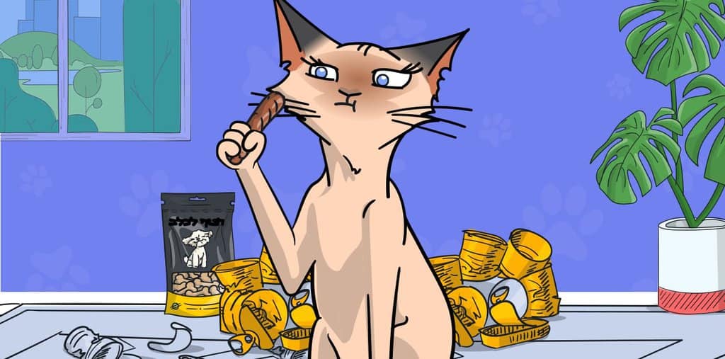 חתול שמן: איך מזהים השמנת יתר ואיך מטפלים בצורה נכונה