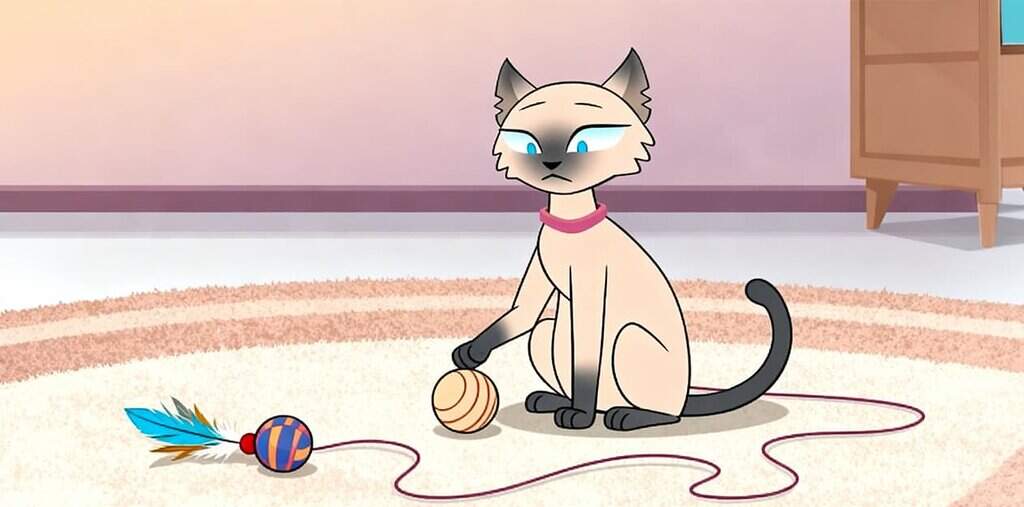 צעצועים לחתולים: סוגים, רעיונות וטיפים למשחק כיפי בבית