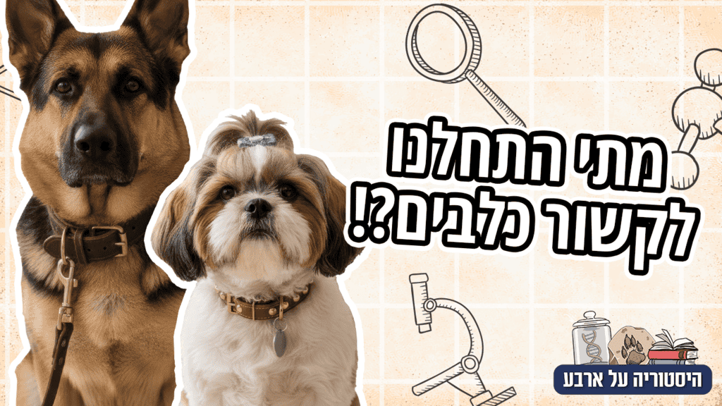 ההיסטוריה של הרצועה לכלבים