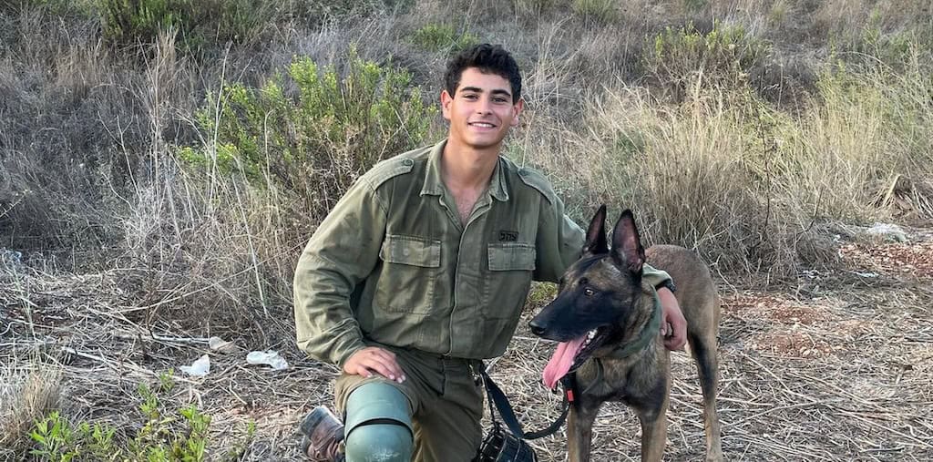 מילד של כלבים ללוחם בעוקץ: הסיפור של דויד ששון ז״ל