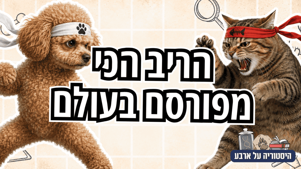 כלבים VS חתולים